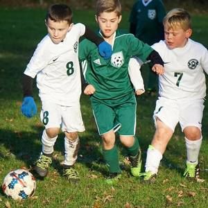 Meet your Posher, Robert